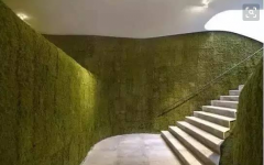 墙面绿化主要形式 墙面验收注意事项,从而起到一种装饰作用