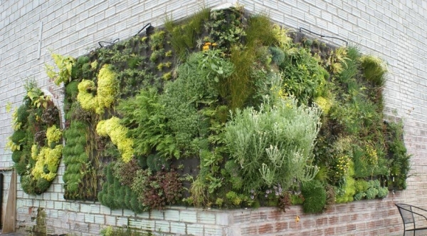 阳台植物墙