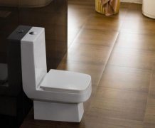卫生间坐便器品牌有哪些  卫生间坐便器选购方法,如果没有坐便器话卫生