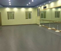 舞蹈室专用地板特点  舞蹈室专用地板的选购,在地板上面是专用地板
