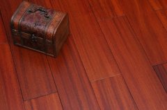 圆盘豆地板优点 圆盘豆地板选购注意事项,它是一种实木地板材料