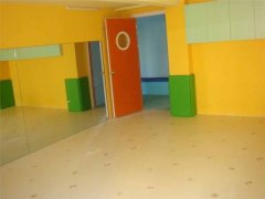 舞蹈练功室塑胶地板的优点，塑胶地板的种类,但是由于地板材料众多