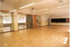 舞蹈室有哪些专用地板？有什么特点？,而舞蹈室地板是最重要