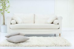 沙发发质怎么护理 皮沙发品牌有哪几名,这是因为皮质沙发比较