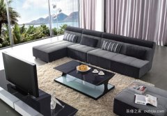 休闲沙发的品牌    休闲沙发的选购技巧,家具选购也是非常重要