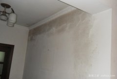 墙体除霉剂有哪些品牌 墙体除霉剂的使用方法,房子时间久了就会出现