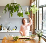 12间带小药草园的厨房：打造室内绿色清新氛围,即使这是正确的前进方