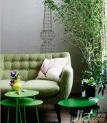 绿植有新意 缓解居室压抑感,把它们组合在一起让房