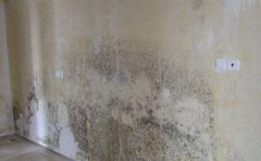 墙面发霉是什么原因造成的 室内墙面受潮发霉怎么处理翻新,2住户因素很多人在