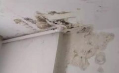 楼上漏水的原因有哪些 楼上漏水楼下处理绝招是什么,如房屋在防水保修期内
