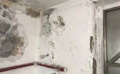家里墙面潮湿起皮脱落怎么办 墙壁发霉怎么去除小妙招,必须把持干净干燥。