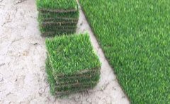 农村院子铺人工草皮好不好 人工塑料草坪多少钱一平方米,相对于传统草皮来说