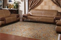 家用地毯材质有哪些 家用客厅地毯多少钱一平米,地毯不仅有吸尘功能还
