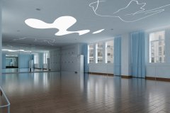 舞蹈室有哪些专用地板—舞蹈室专用地板有哪些,舞蹈室装修部分最重要