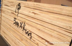 桦木板材怎么样 桦木板材价格,桦木板材有哪