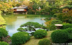 现代日式庭院设计技巧，这些特点你知道吗