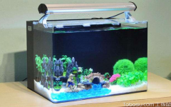 浮法玻璃鱼缸寿命,如何挑选鱼缸,浮法玻璃鱼
